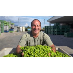 Quattrociocchi - "Primo" - 2026 - Primolio - Novello - 500ml