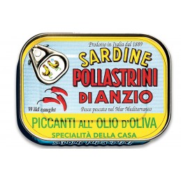 Sardine Pollastrini - Sardinenfilets eingelegt in nativem Olivenöl scharf - 100g
